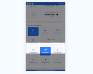 AccessiBe Review - Overview of features of the solution