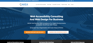 Homepage - AKEA Web Solution Review